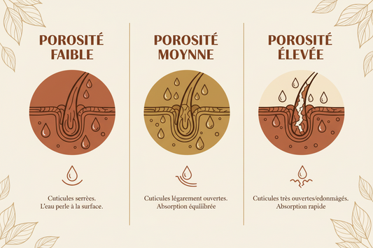 Porosité Capillaire : Comment La Déterminer ?